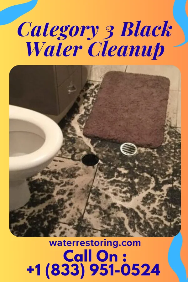 Category 3 Black Water Cleanup in Mosby, MO