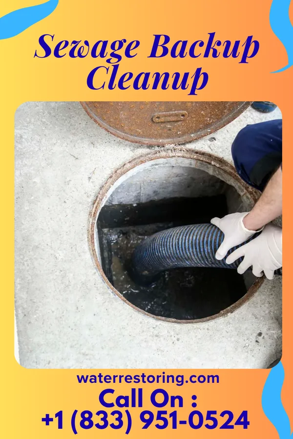 Sewage Backup Cleanup in Mosby, MO